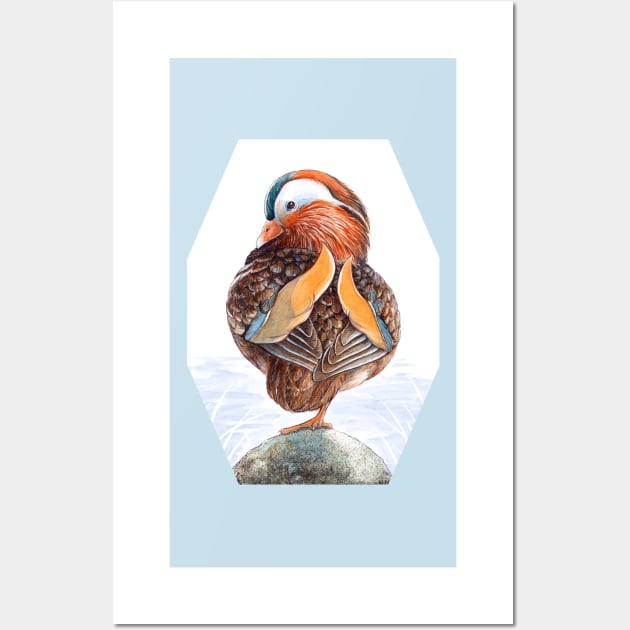 Mandarin Duck Art by Nadya Neklioudova Wall Art by nadyawildlife